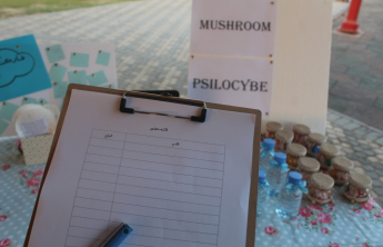 “Misuse of the Mushroom”