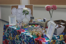 Extracurricular activity for female students of the third level, Faculty of Pharmacy